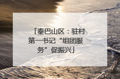 秦巴山区：驻村第一书记“组团服务”促振兴